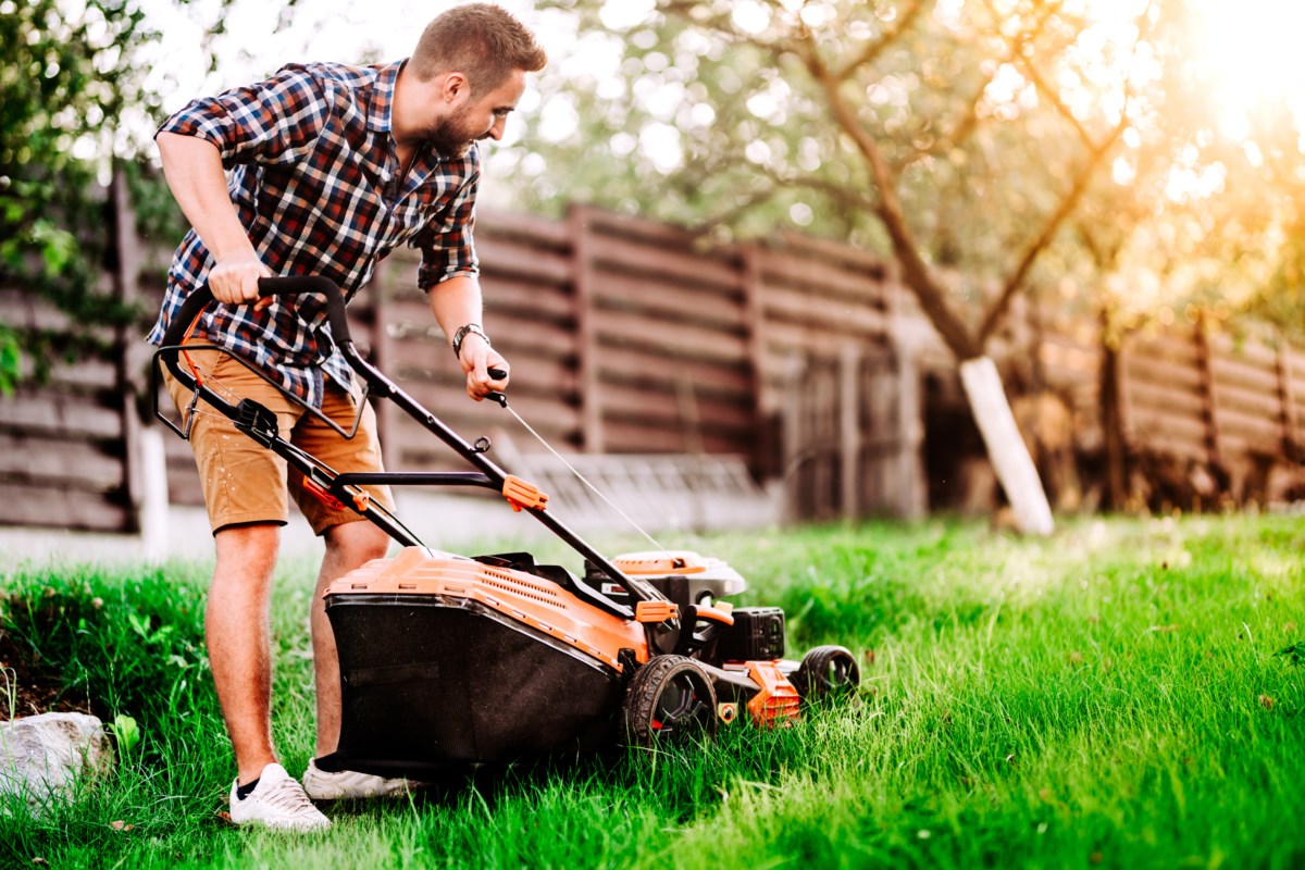 Lawn mower that picks up online grass