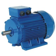 Single Phase Induction Motor, 1440 RPM, 1 HP