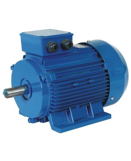 Single Phase Induction Motor, 1440 RPM, 1 HP