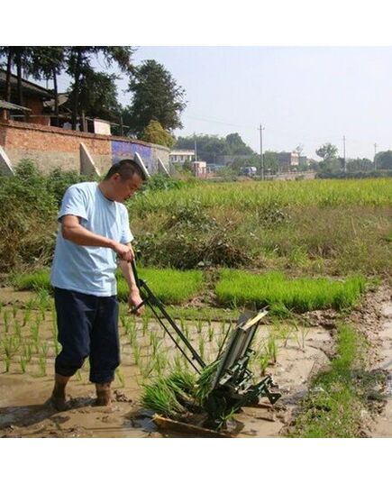 Two Row Manual Rice Transplanter