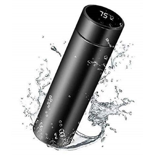 Stainless Steel Sports Water Bottle with LED Temperature Display