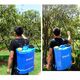 Backpack 16 Liters  Manual & Battery Sprayer 12V Economic Series